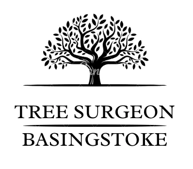 tree surgeon basingstoke